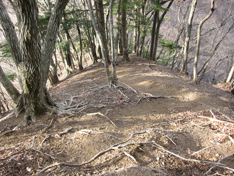 20200204hike (96)
